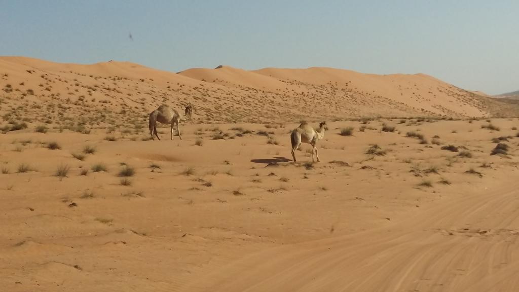 Safari Dunes Camp Ḩawīyah Exterior foto